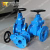 Rubber Wedge Sluice Gate Valve with inside Screw Stem