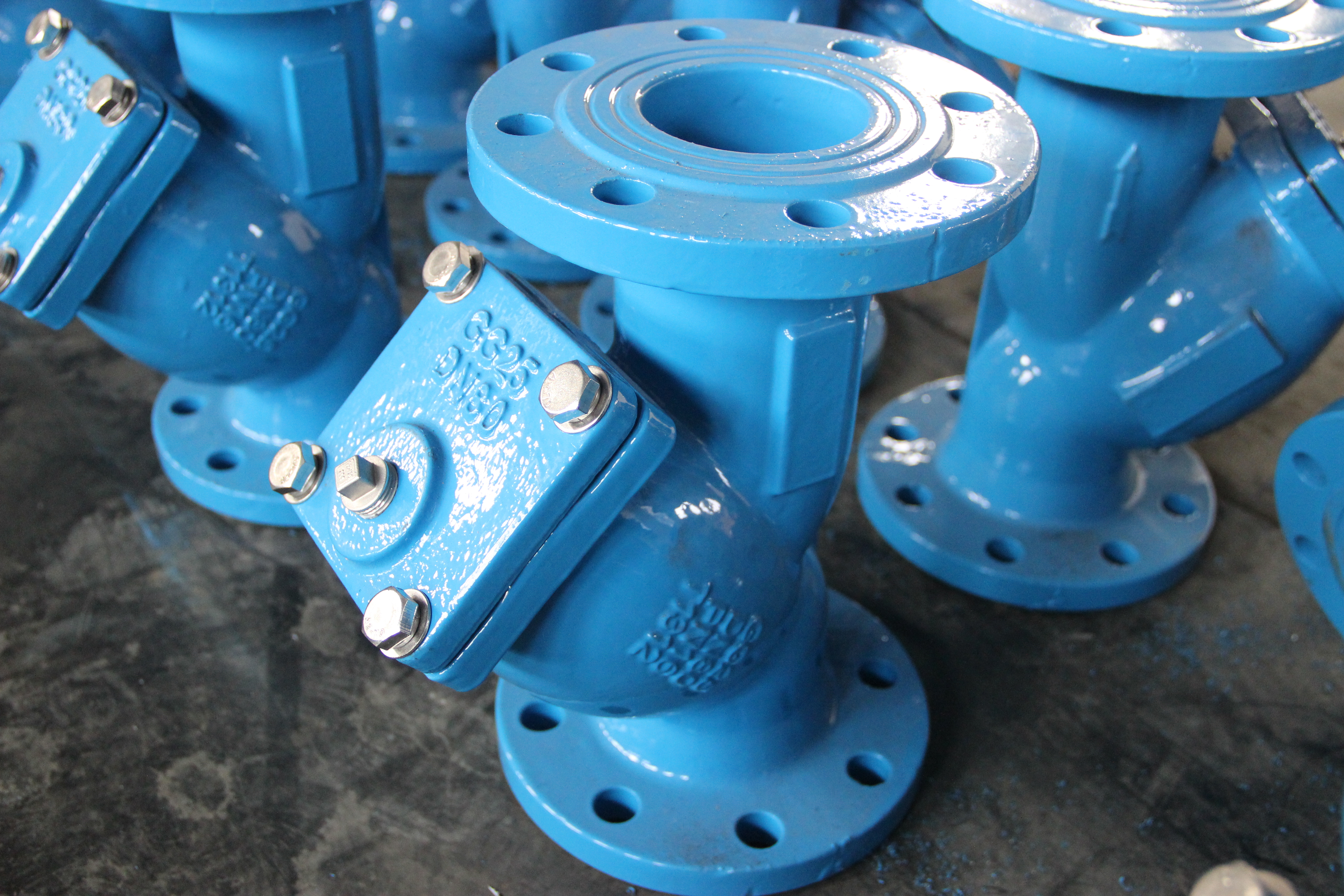 DN80 Y Type Strainer Ductile Iron Body Flanged Connection Industrial Pipeline Protection (1).JPG
