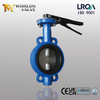 Two Stem Wafer Butterfly Valve with Back-Up EPDM Seat | Lever Operated | Durable Design