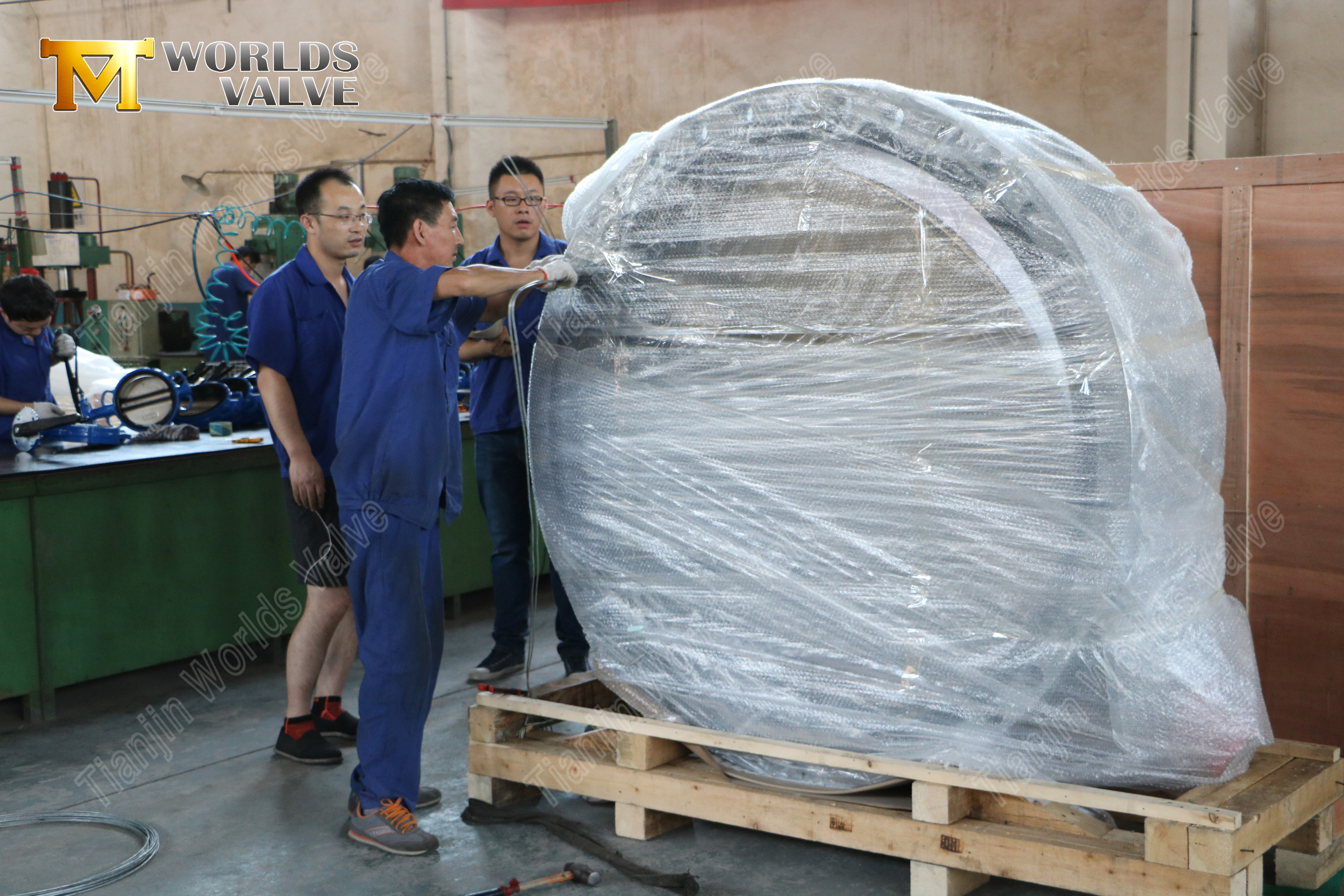 Aluminum Bronze Disc Double Flanged Butterfly Valve (2)