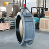 Aluminum Bronze Disc Double Flanged Butterfly Valve
