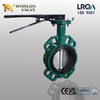 Wafer Butterfly Valve with Removable Seat | Lever Operated | Easy Maintenance Design