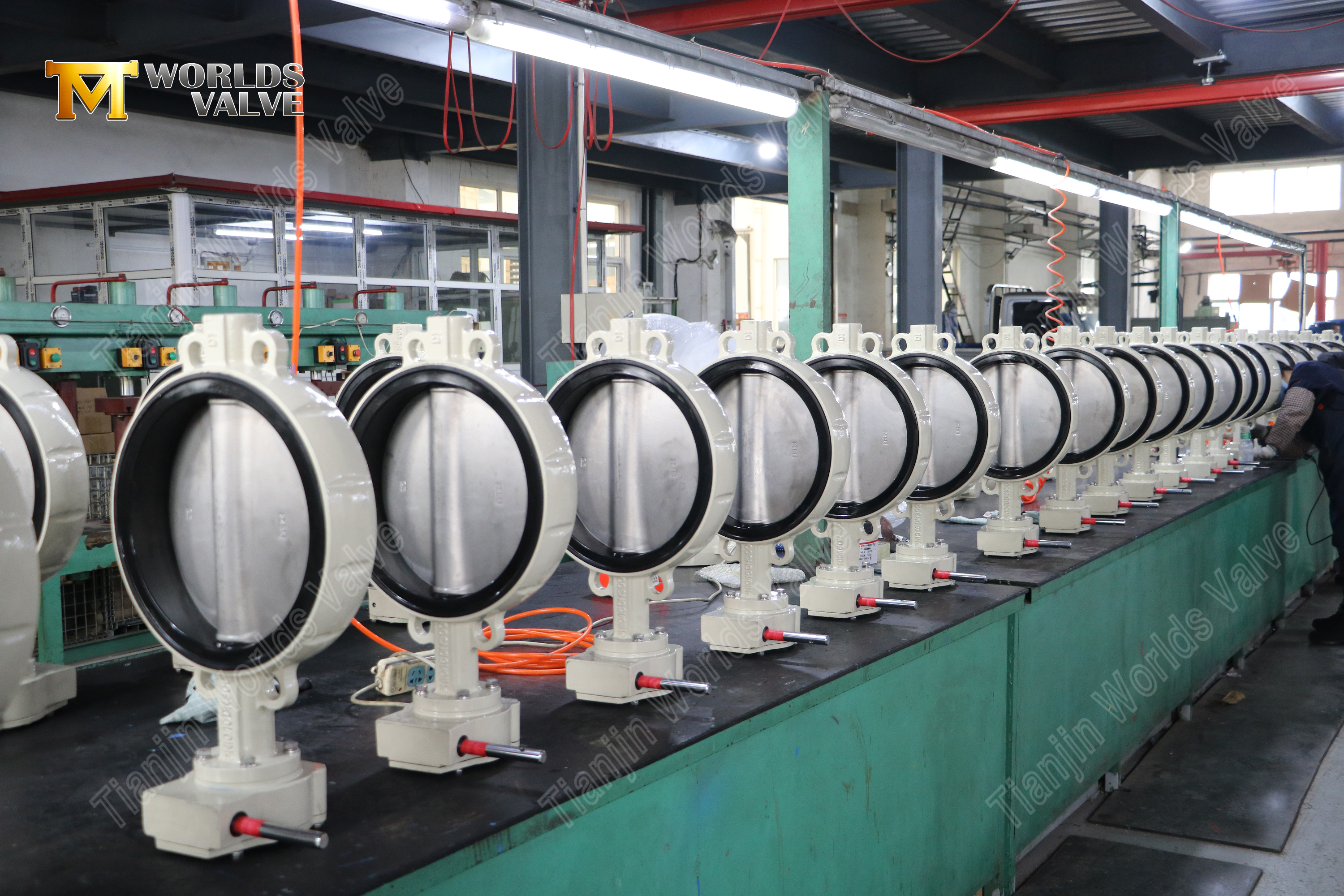 Wafer Butterfly Valve with Removable Seat Lever Operated Easy Maintenance Design-1 (1).jpg