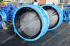 Awwa C504 Double Flanged Ends Butterfly Valve with Gearbox CLASS150