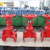 Rising stem Cast Iron Rubber Wedge Gate Valve for Low Pressure