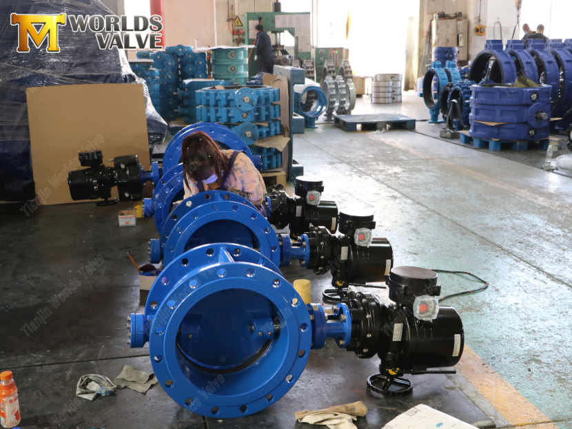 Eccentric Butterfly Valve with Electric Actuator-2(1)