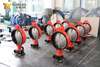 Wafer Type Butterfly Valve with PN6 PN10 PN16 PN25 CL125 Cl150 AS TableD Table E Flanges Connection