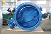 Double Eccentric Flanged Butterfly Valve with Akzonobel Epoxy Body & Disc