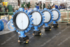 Concentric lugged type Rubber Lining Nylon coated disc butterfly valve with Tapped Hole