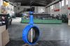 Long Stem Double Flanged Butterfly Valve with Pin Design offered by China OEM Manufacturer-Tianjin Worlds Valve Co.,Ltd.