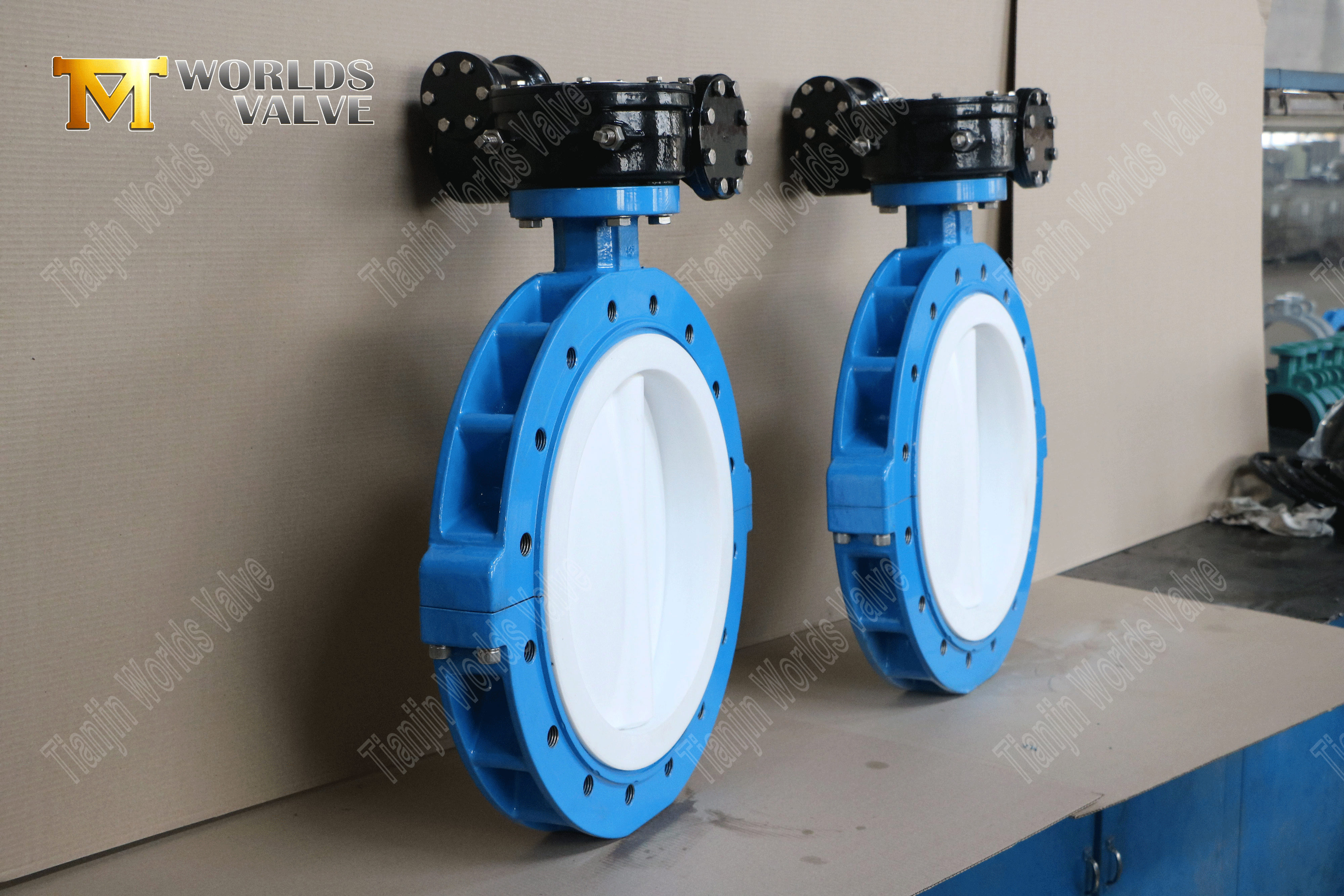 Butterfly Valve Manufacturers-PTFE Full Lined Lug Type Butterfly Valve (5)