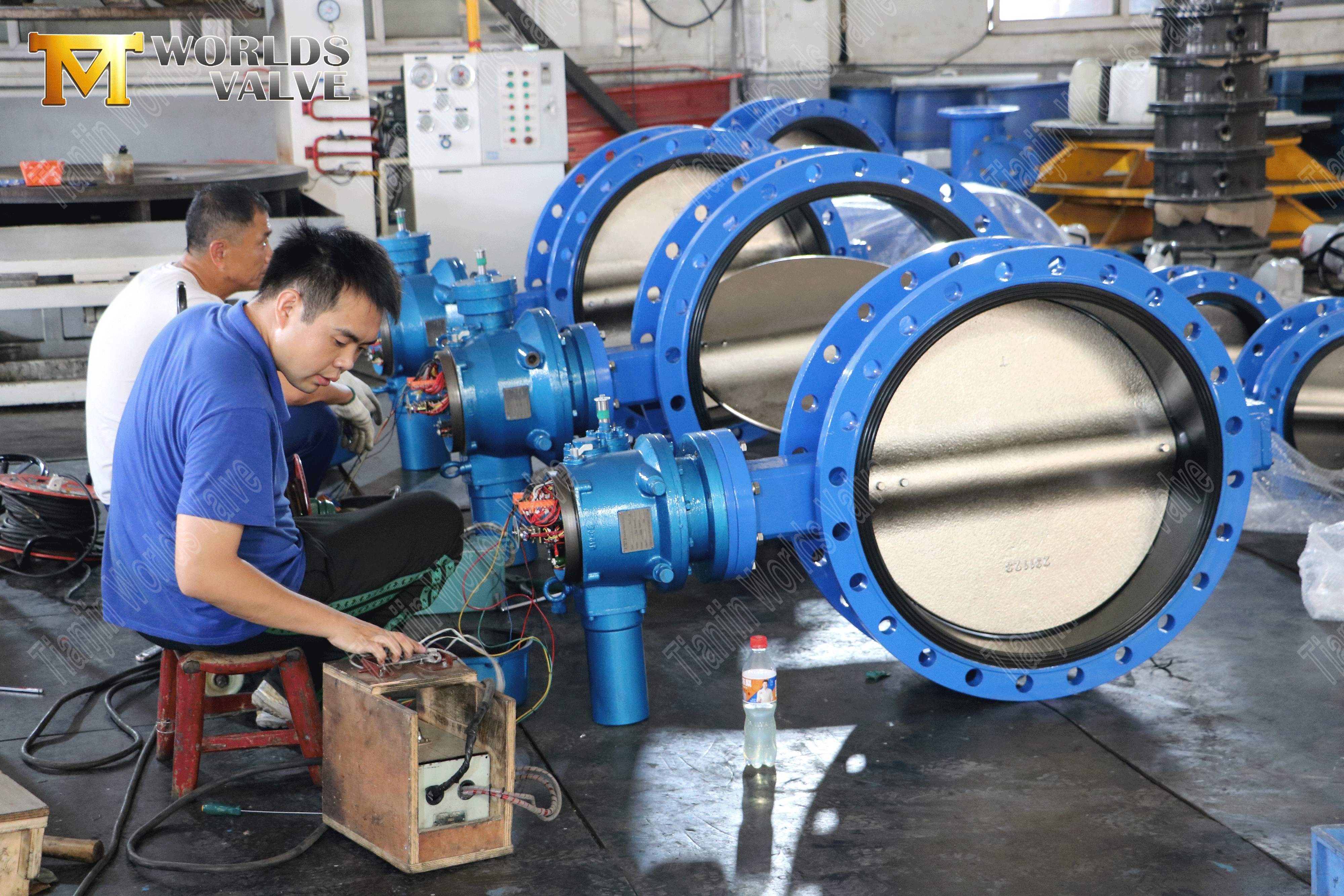 OEM Factory for Butterfly Valve–Electric Actuator Flange Type Butterfly Valves (1)