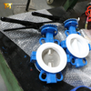ANSI B16.5 Teflon butterfly valves produced by China OEM|ODM Valve Manufacturer-Tianjin Worlds Valve Co., Ltd.