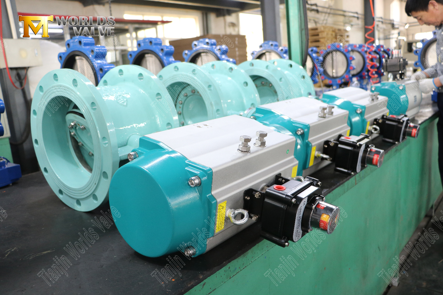 Double Offset Butterfly Valves with Pneumatic Actuation Double Flanged Industrial Solutions-1 (2)