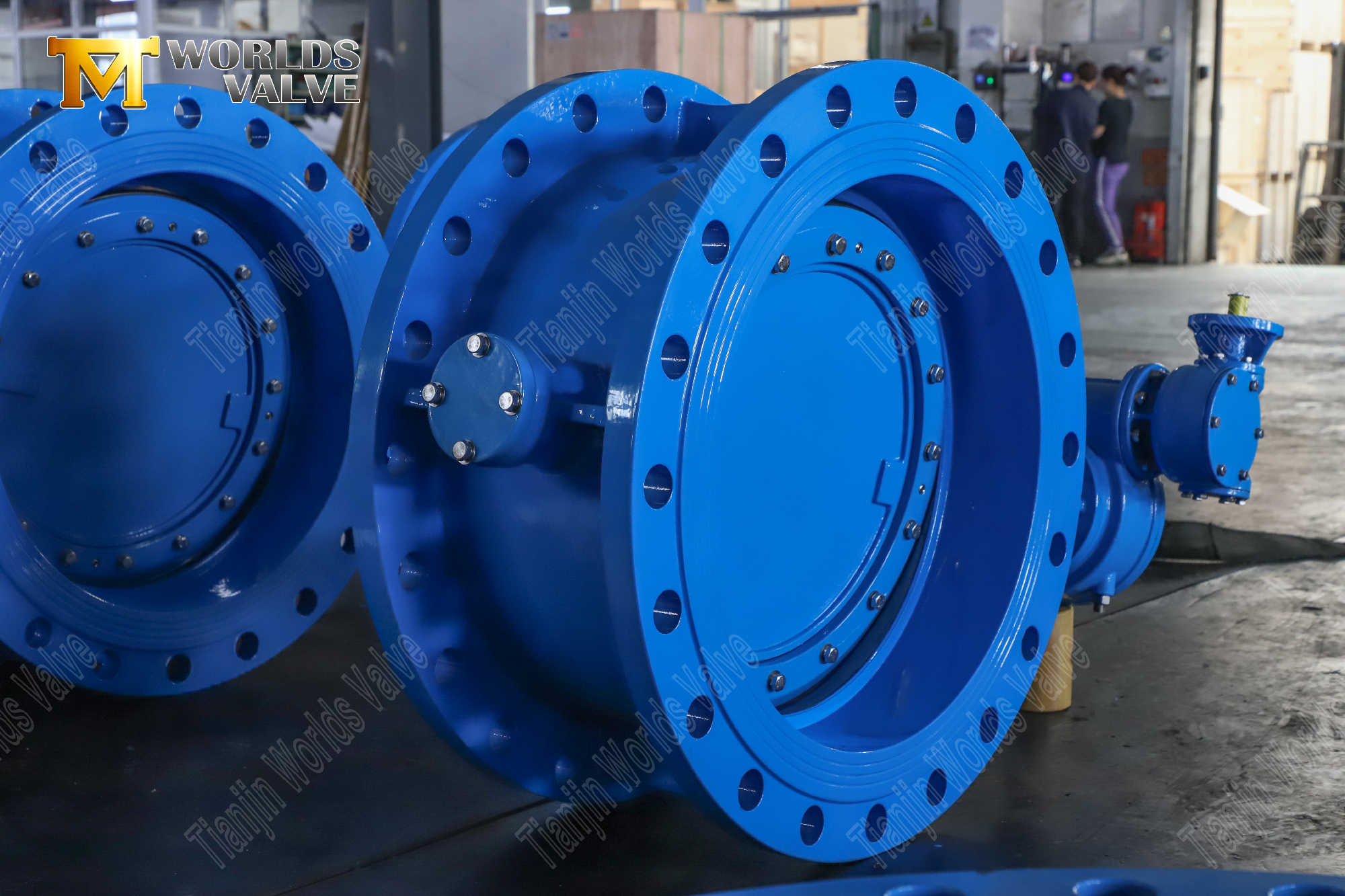 Double Offset PN25 Butterfly Valve with Double Flanges and Gear Operator-3 (2)