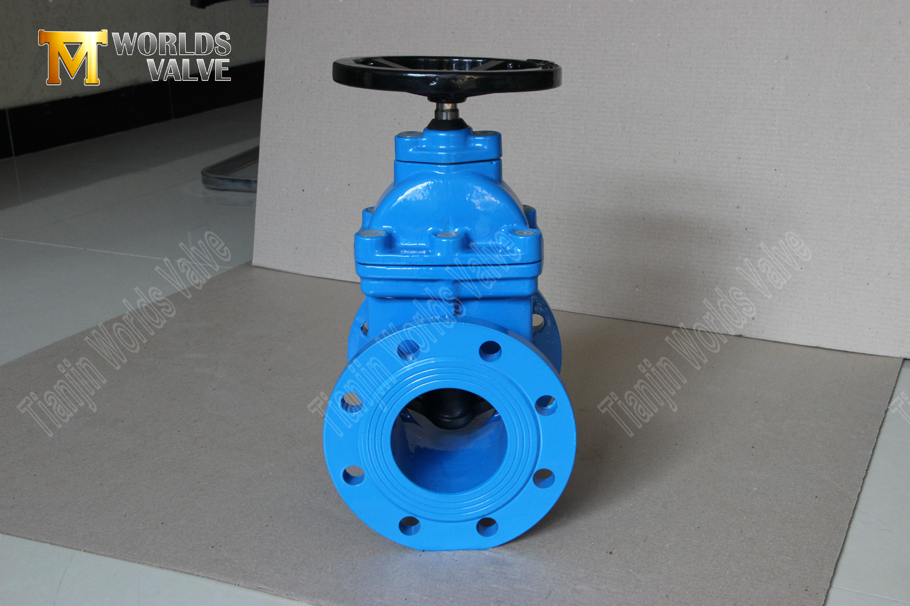 resilient seat gate valve with flange type