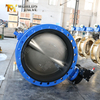 AWWA C504 compliant butterfly valve with EPDM bonded seat produced by Butterfly Valve Manufacturer-Tianjin Worlds Valve