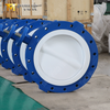 Full PTFE Lined Butterfly Valves with Worm Gear produced by China Valve Supplier and Manufacturer