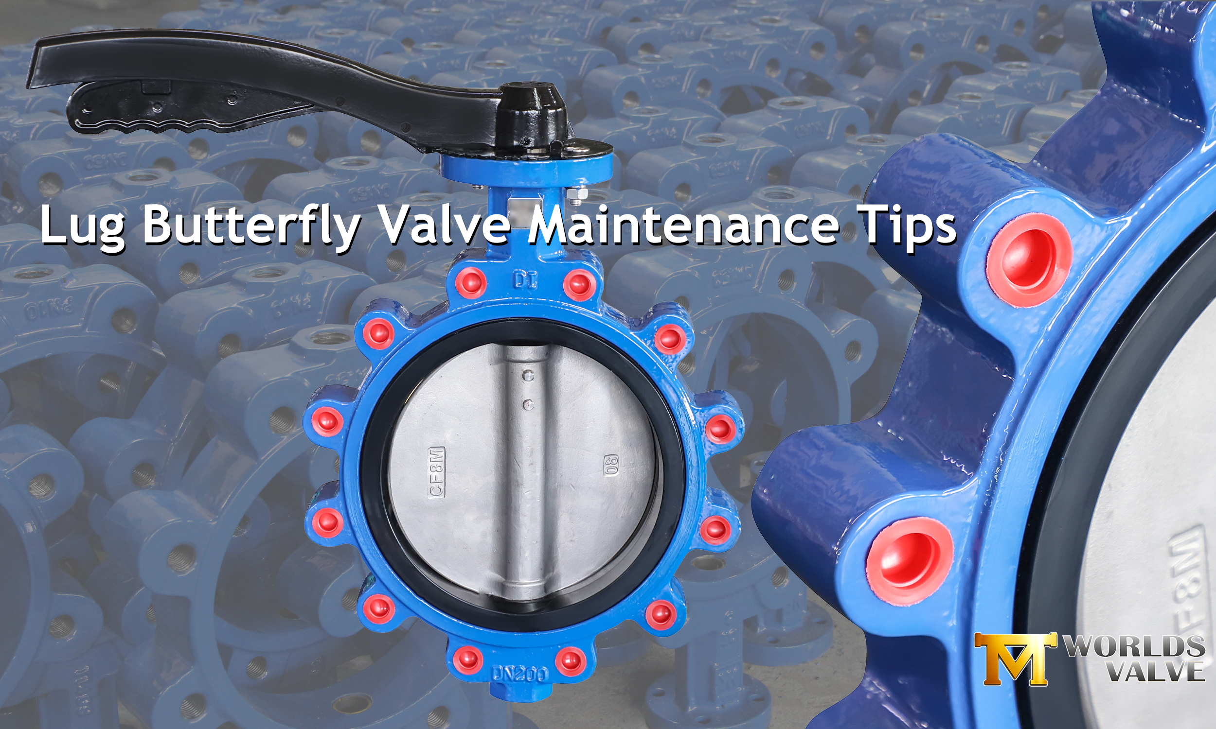 Lug Butterfly Valve Maintenance Tips
