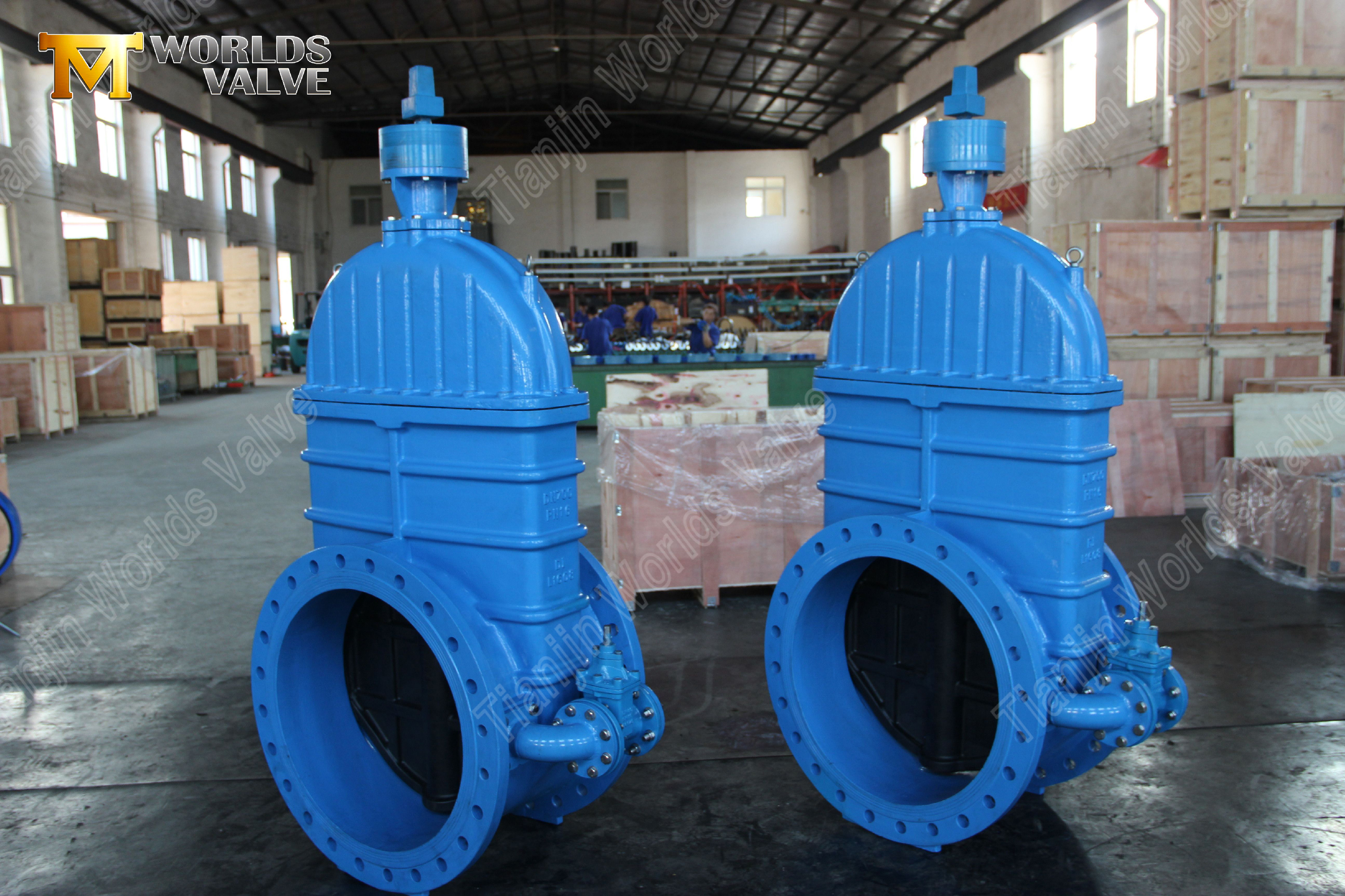 BS5163 Resilient Seated Non-Rising Stem Ductile Iron Gate Valve Reliable Water Control Solution-1 (2)