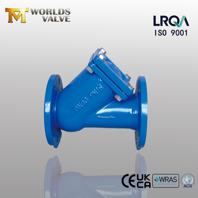 Ductile Iron Y Strainer Flanged Table E PN16 | Reliable Pipeline Protection-Tianjin Worlds Valve Co., Ltd.