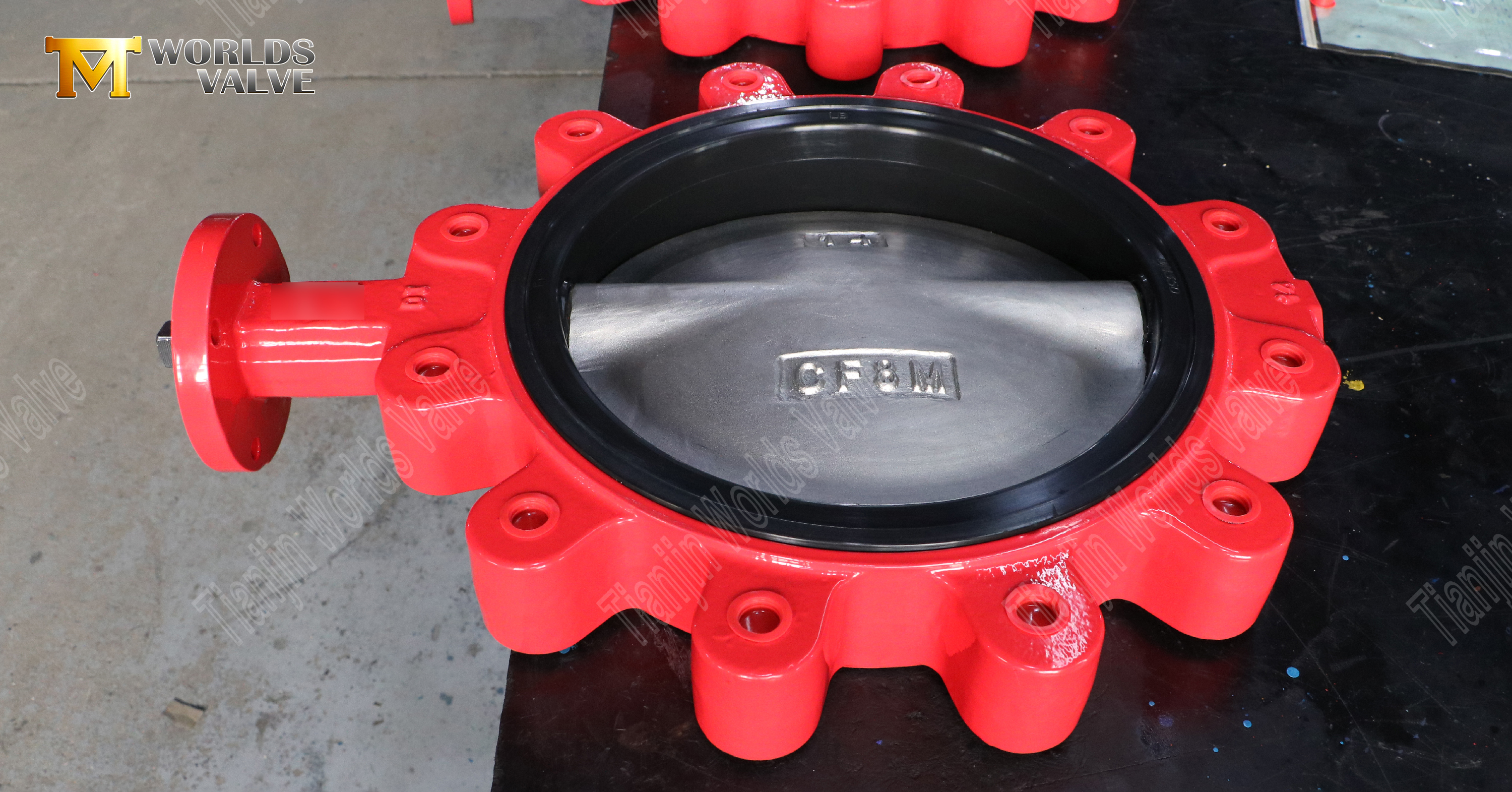 Lug Butterfly Valve with CF8M Disc and DI Valve Body (1)