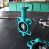 Wafer Butterfly Valve with EPDM Lined and SS Disc offered by China OEM Valve Manufacturer-Tianjin Worlds Valve Co., Ltd.