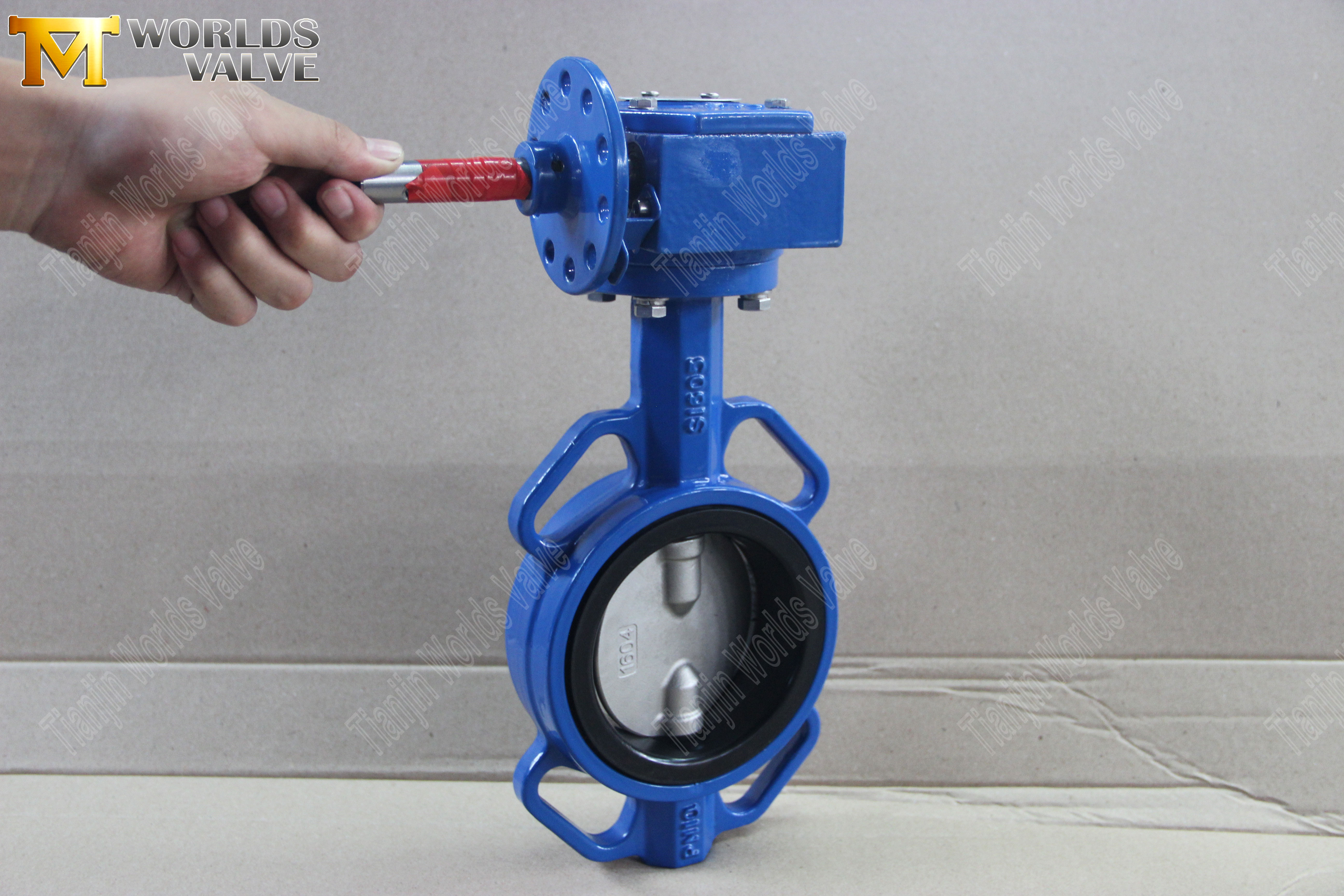 Wafer Butterfly Valve with Worm Gear Operator (1)