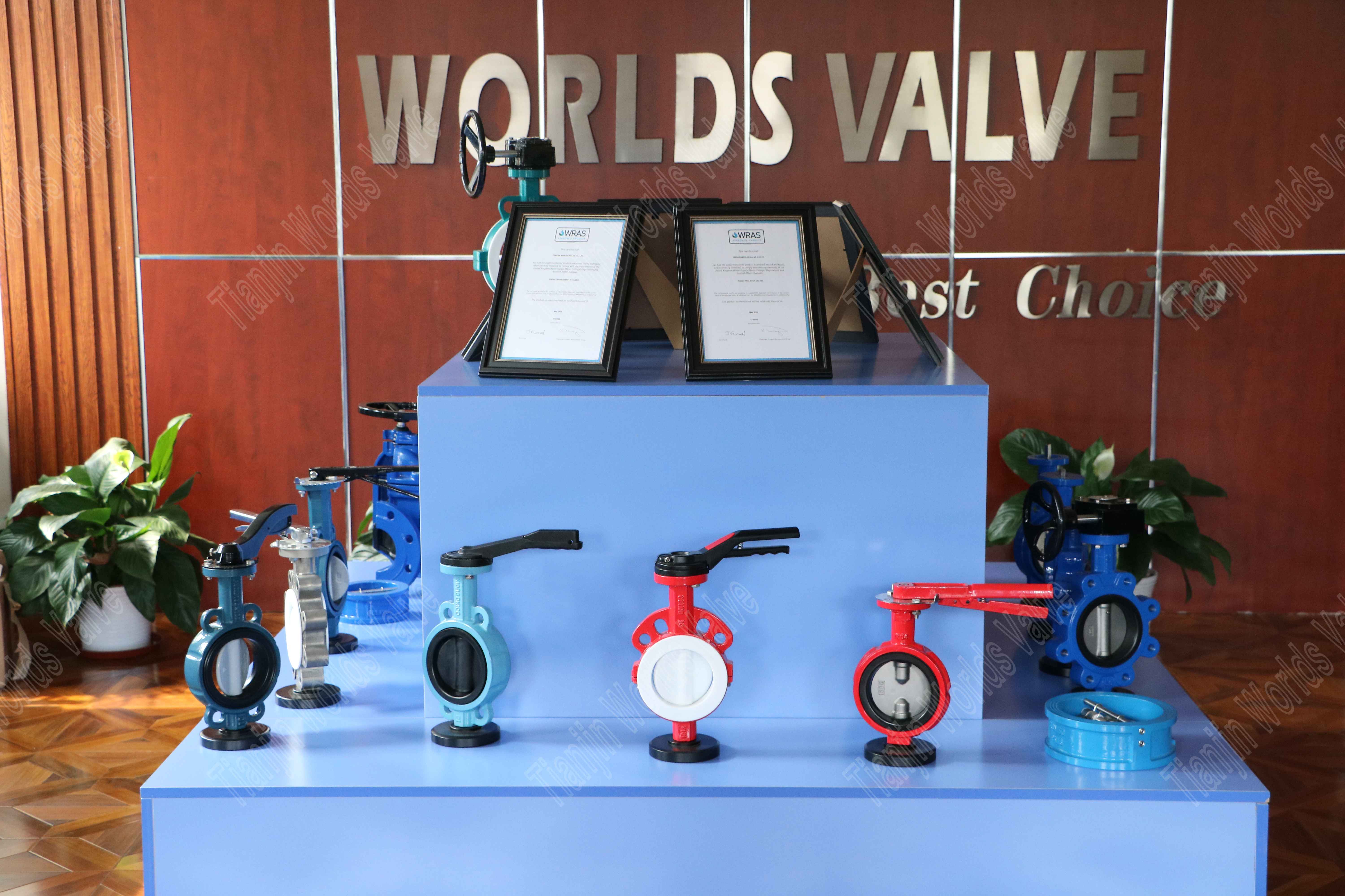 Tianjin Worlds Valve Co.,Ltd. (1)