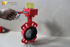 Wafer Butterfly Valve with SS Disc and EPDM Seat produced by China Valve Manufacturer-Tianjin Worlds Valve Co.,Ltd.