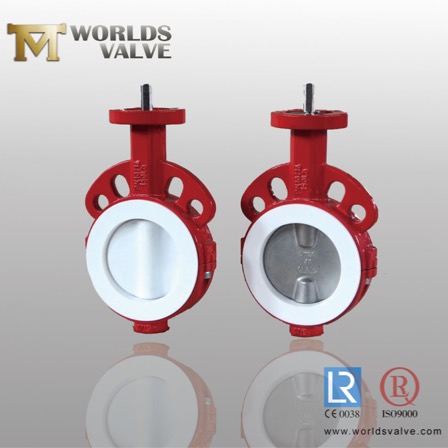 PTFE butterfly valve