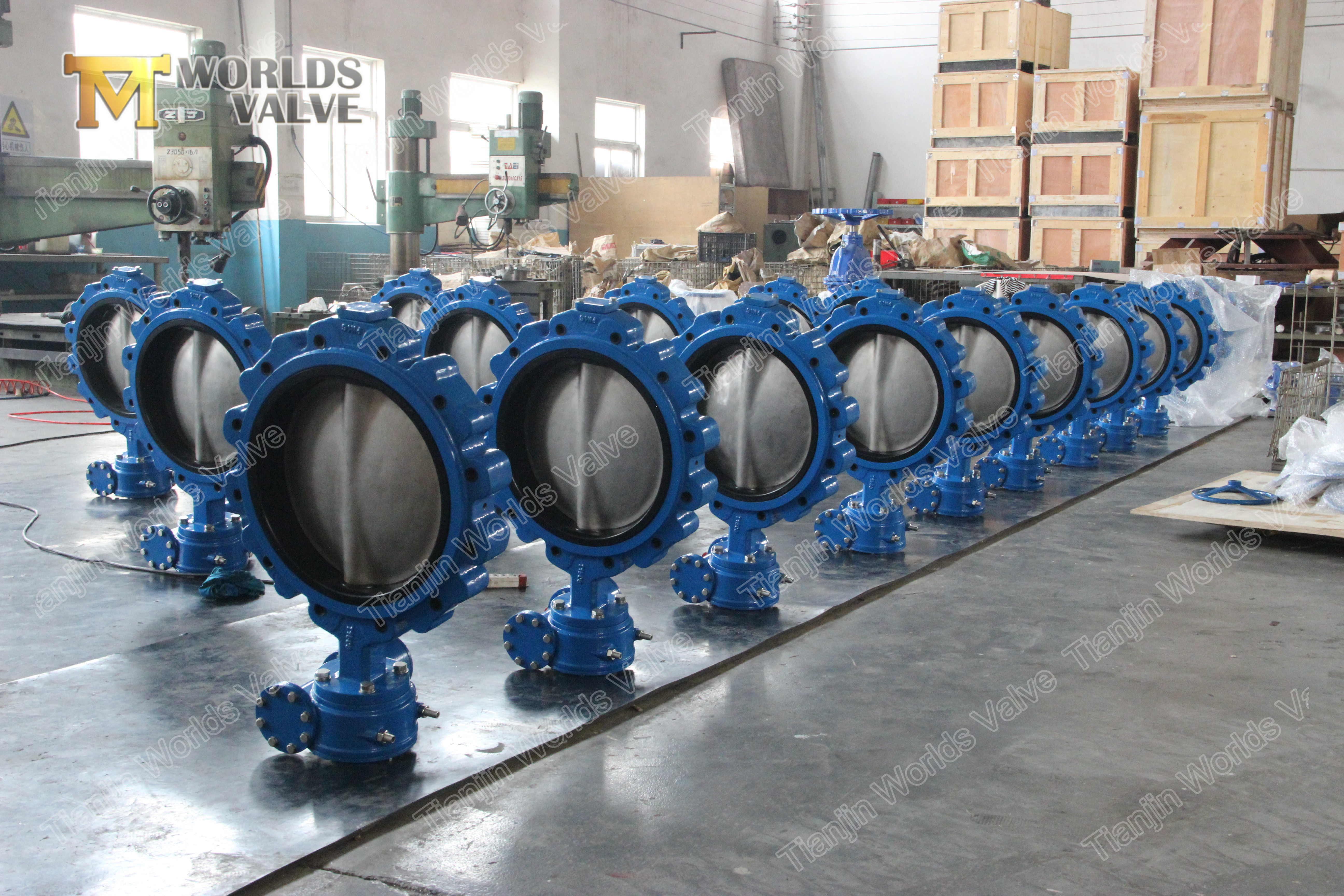 6 Lug type BUTTERFLY VALVE WITH GEAR BOX