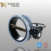 AWWA C504 Double Flange Butterfly Valve with Replaceable Rubber Seat 