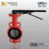 Hard Back Rubber Seat & SS Disc Butterfly Valve | OEM Wafer Butterfly Valve Supplier-Tianjin Worlds Valve Co., Ltd.