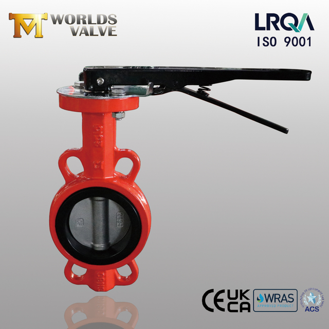 Hard Back Rubber Seat & SS Disc Butterfly Valve | OEM Wafer Butterfly Valve Supplier-Tianjin Worlds Valve Co., Ltd.