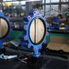 Rubber Lined Lug Butterfly Valves with Pinless Design offered by OEM|ODM Valve Supplier-Tianjin Worlds Valve Co.,LTD.