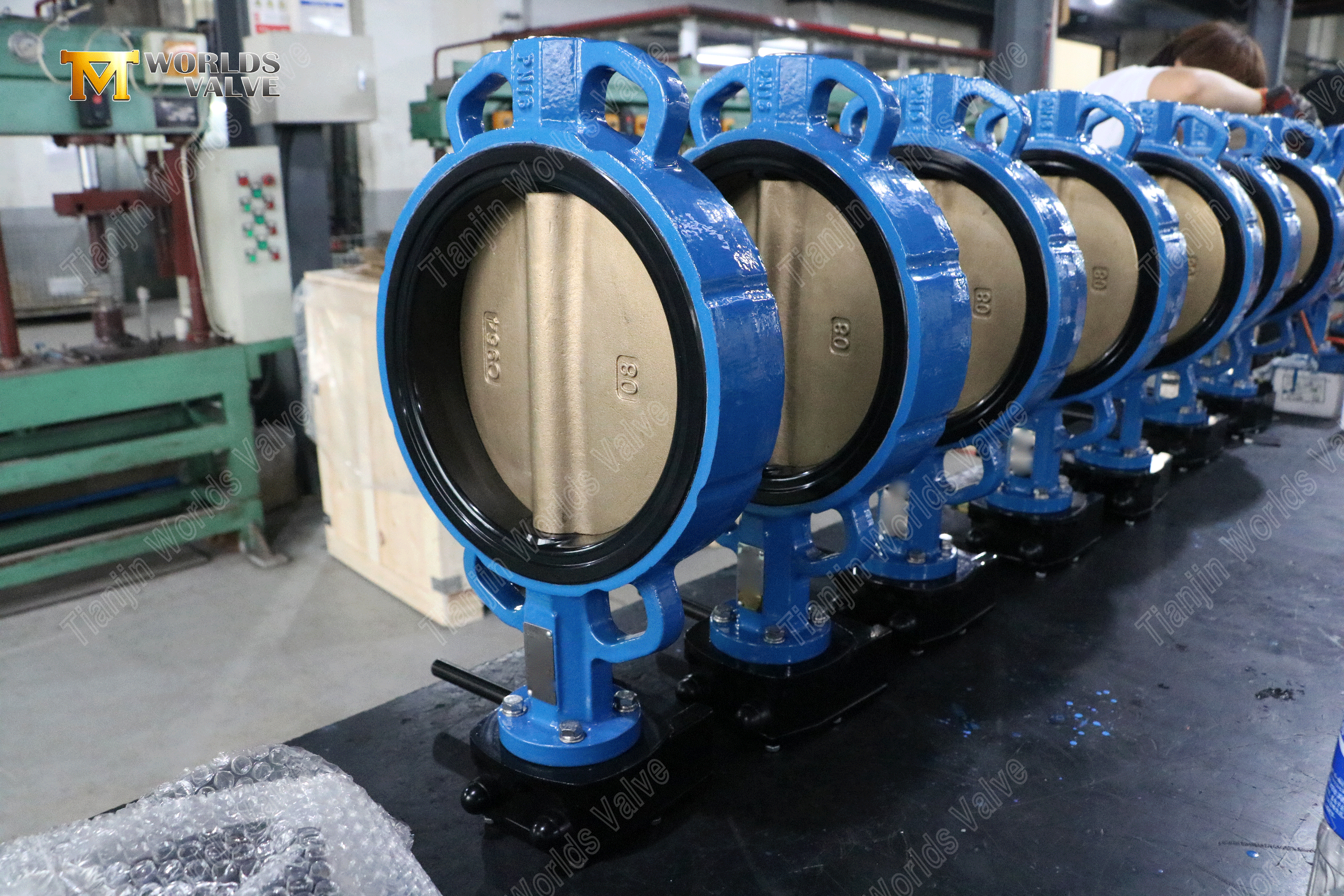 Easy-Maintenance Wafer Butterfly Valve Replaceable EPDM Seat & DI Disc (Hand Lever Operated) (8)