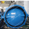  AwwaC515 FBE Epoxy Coated Disc Double Flange Butterfly Valve