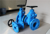  ACS Approved BS5163 Resilient Rubber Gate Valve