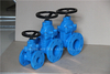 Resilient Rubber Gate Valve with Hand Wheel