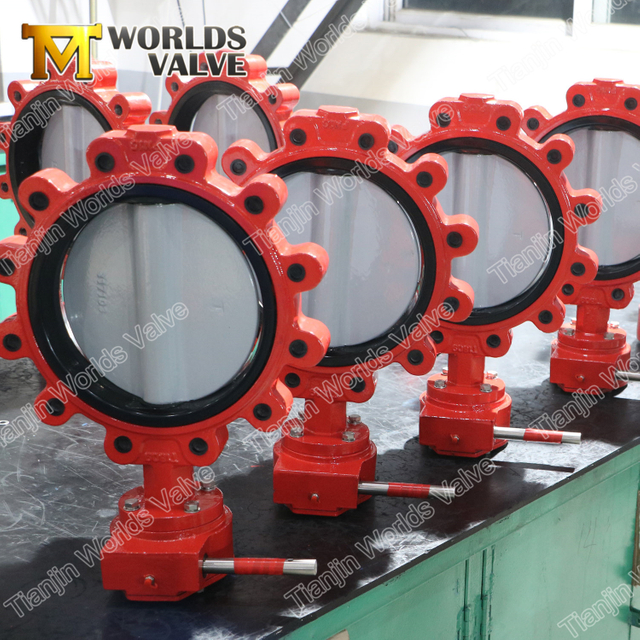 Nylon11 Coated Disc Lug Type Butterfly Valve