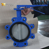 Manual Lug Butterfly Valve with Nylon Coated DIsc offered by OEM | ODM Valve Supplier-Tianjin Worlds Valve Co.,Ltd.