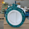 DN600 Two-Piece Flanged PTFE Butterfly Valve with WCB Body & Gear Operated