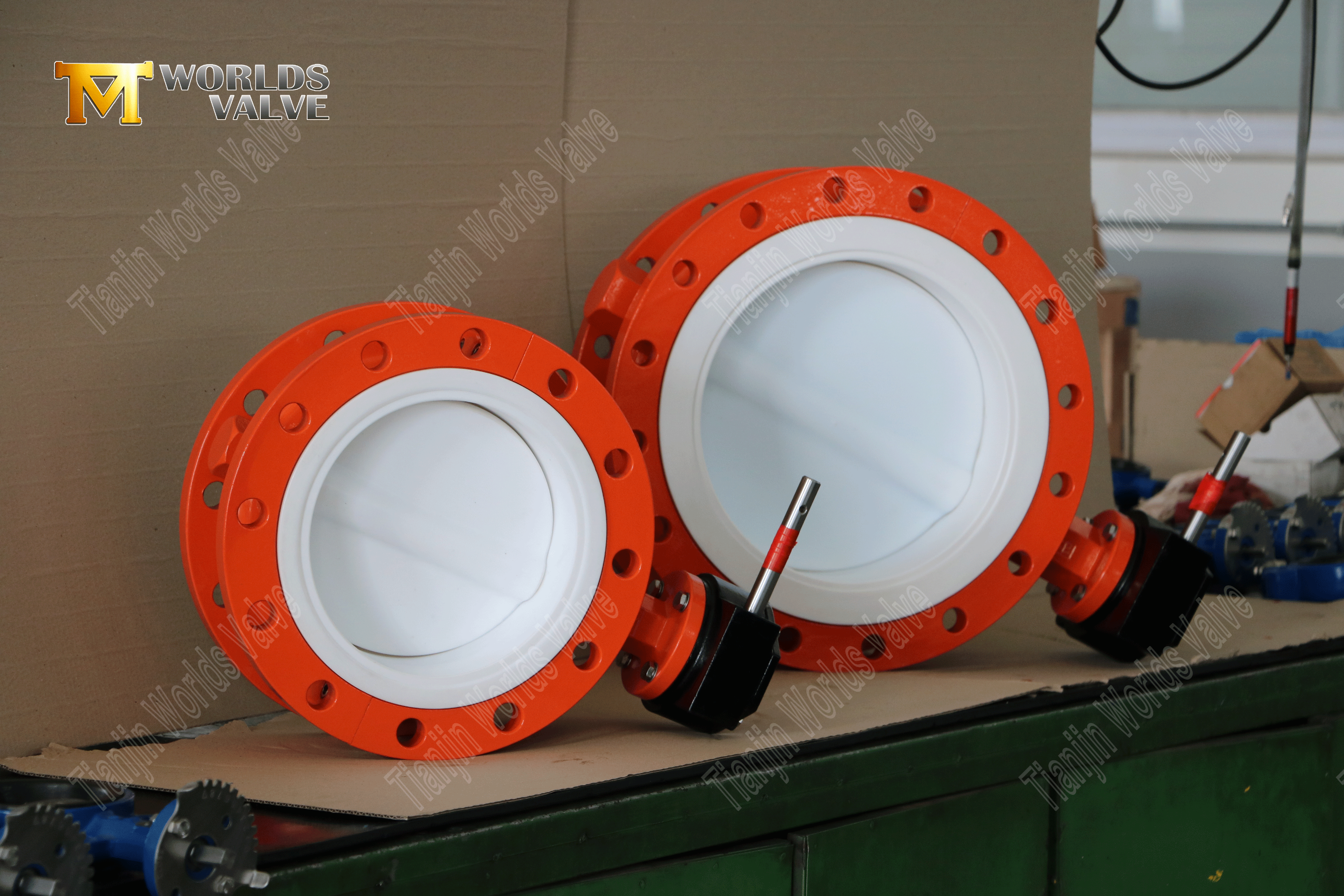 Two-Piece Flanged PTFE Butterfly Valve WCB Body & Gear Operated-1 (3).png