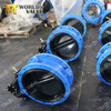 Centre Sealing Double Flanged Butterfly Valve with Full Rubber Coated Disc