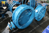 Double Eccentric Double Flange Butterfly Valve with WRAS ACS Certificate EN558 Series13 Series14