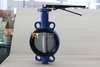 Loose liner Tongue Groove Design Wafer Butterfly Valve Replaceable Seat