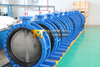 Double Flanged Butterfly Valve with Vulcanized Bonded Rubber Seat