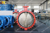 DN750 30 Inches Lug Butterfly Valve with Aluminium Bronze Disc