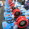 EN593 API609 Double Flange Butterfly Valve with Electric Actuator